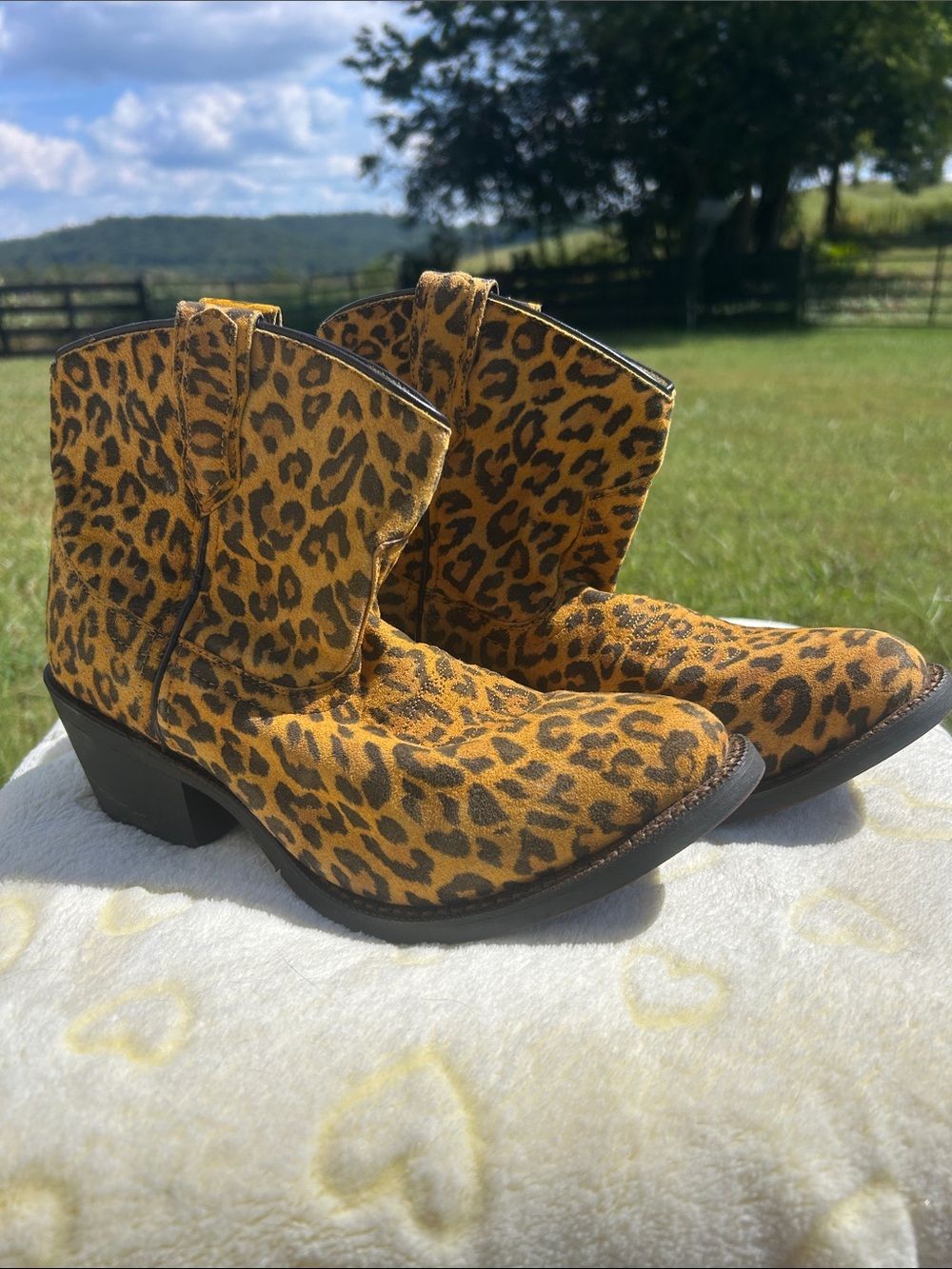 Laredo boots, ladies size 7, leopard/cheetah print